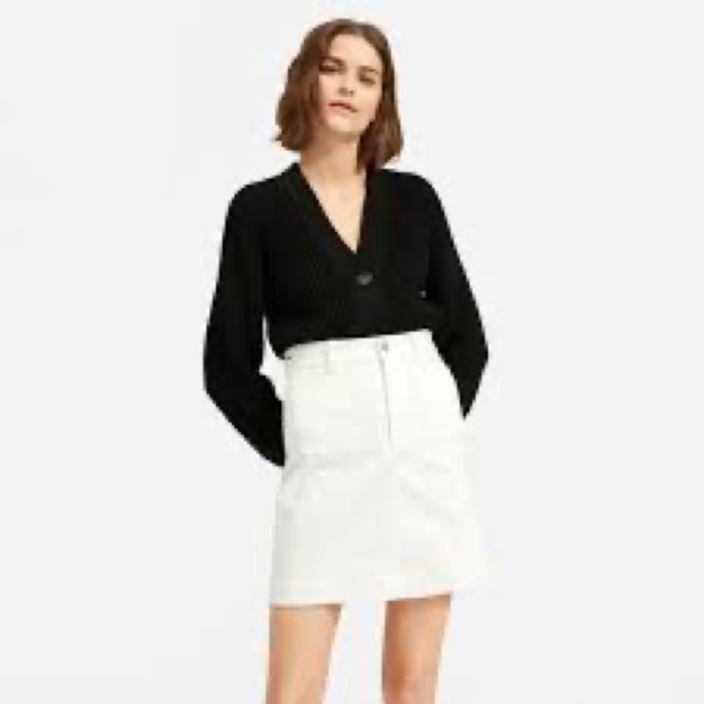 Everlane patch pocket skirt